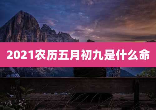 2021农历五月初九是什么命