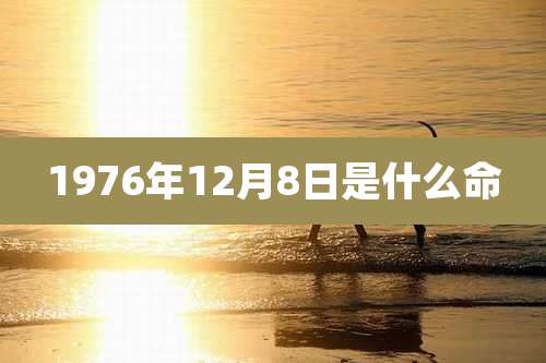 1976年12月8日是什么命