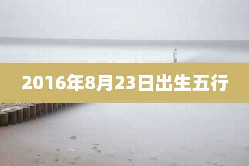 2016年8月23日出生五行