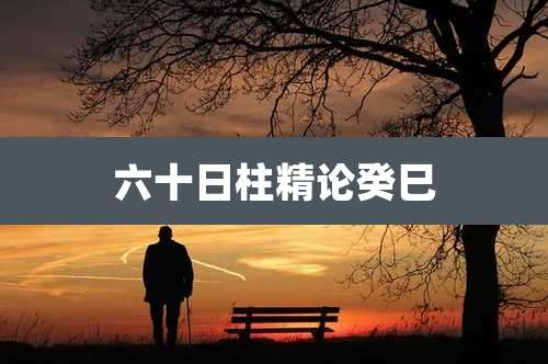 六十日柱精论癸巳