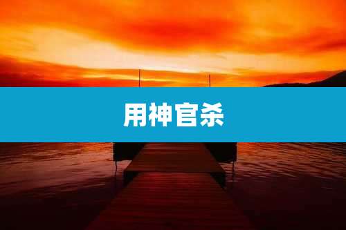 用神官杀