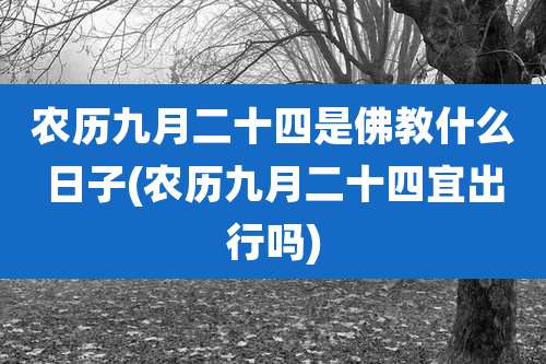 农历九月二十四是佛教什么日子(农历九月二十四宜出行吗)