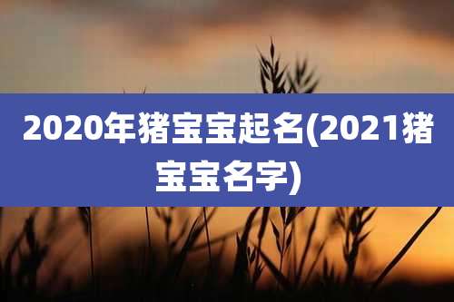 2020年猪宝宝起名(2021猪宝宝名字)