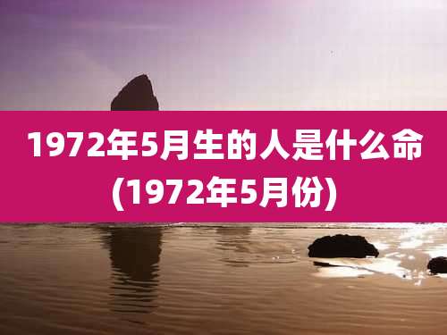1972年5月生的人是什么命(1972年5月份)