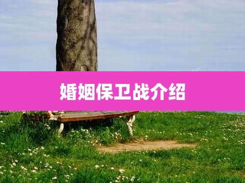婚姻保卫战介绍