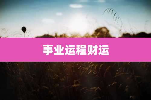 事业运程财运