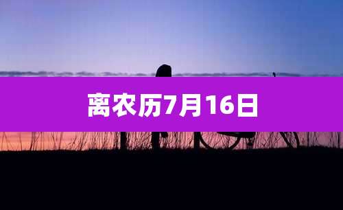 离农历7月16日