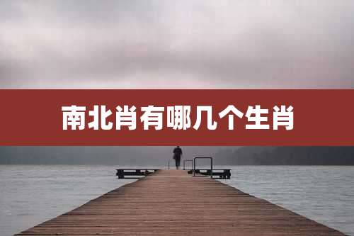 南北肖有哪几个生肖