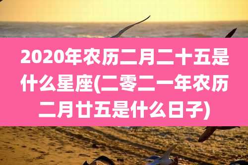 2020年农历二月二十五是什么星座(二零二一年农历二月廿五是什么日子)