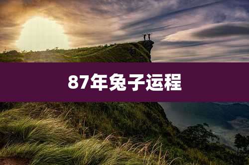87年兔子运程