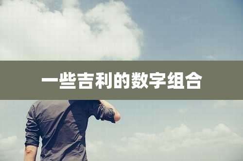 一些吉利的数字组合