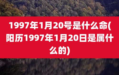 1997年1月20号是什么命(阳历1997年1月20日是属什么的)