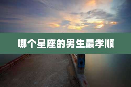 哪个星座的男生最孝顺