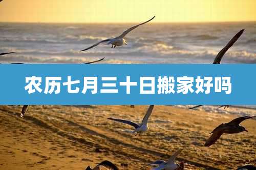 农历七月三十日搬家好吗