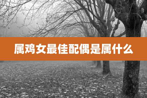 属鸡女最佳配偶是属什么