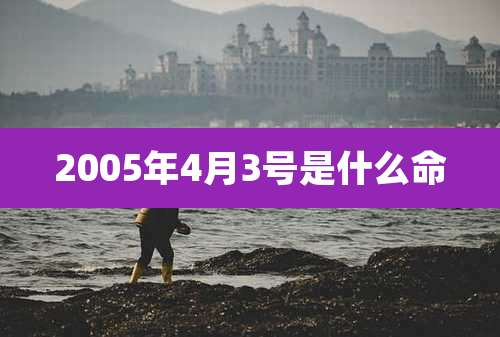 2005年4月3号是什么命