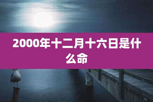 2000年十二月十六日是什么命