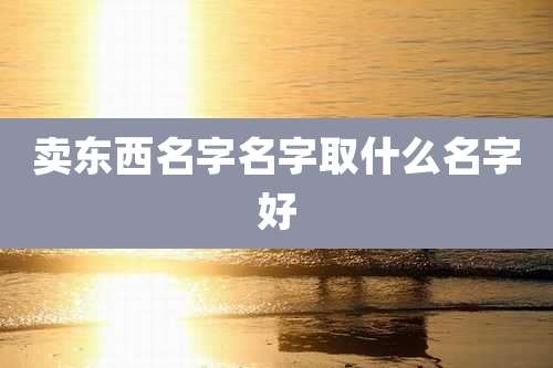 卖东西名字名字取什么名字好