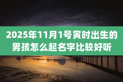 2025年11月1号寅时出生的男孩怎么起名字比较好听