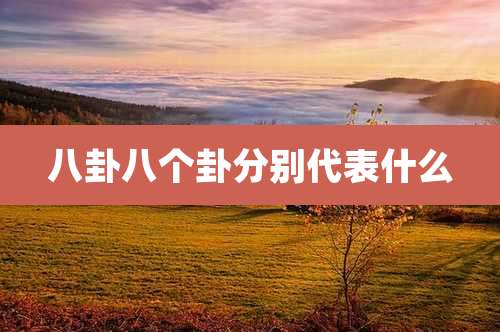 八卦八个卦分别代表什么