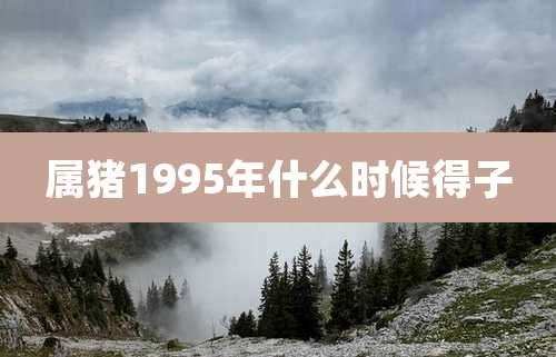 属猪1995年什么时候得子