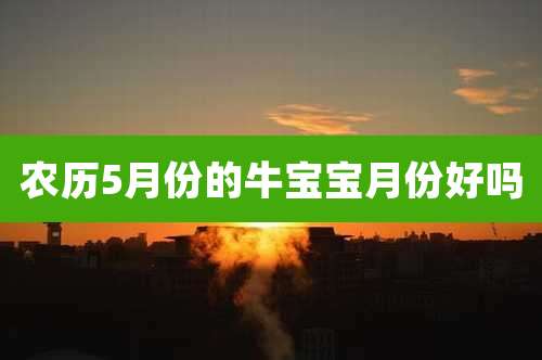 农历5月份的牛宝宝月份好吗