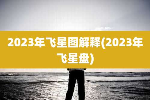 2023年飞星图解释(2023年飞星盘)