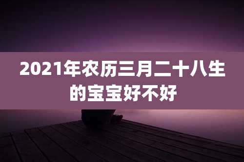 2021年农历三月二十八生的宝宝好不好