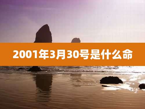 2001年3月30号是什么命