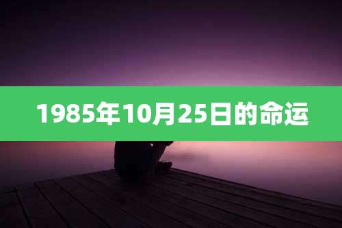 1985年10月25日的命运