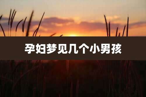 孕妇梦见几个小男孩