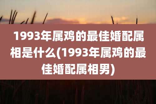 1993年属鸡的最佳婚配属相是什么(1993年属鸡的最佳婚配属相男)
