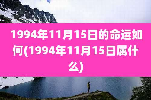 1994年11月15日的命运如何(1994年11月15日属什么)
