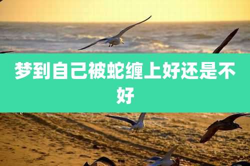 梦到自己被蛇缠上好还是不好