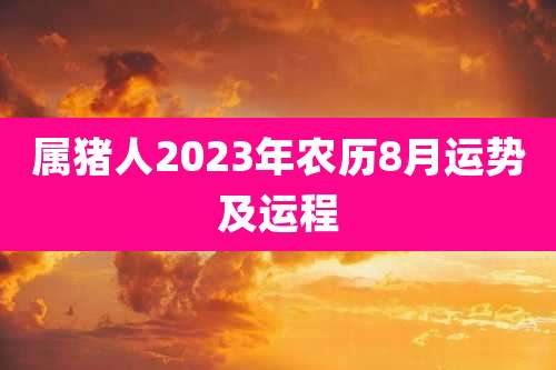 属猪人2023年农历8月运势及运程