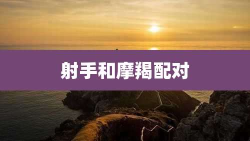 射手和摩羯配对