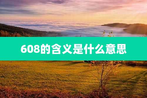 608的含义是什么意思