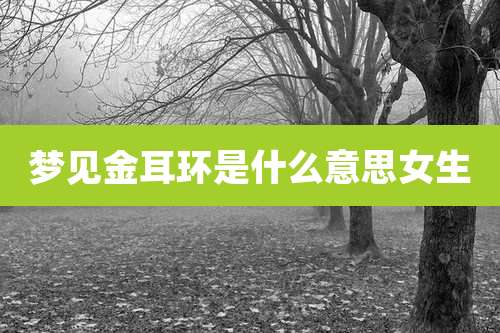 梦见金耳环是什么意思女生