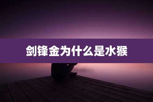 剑锋金为什么是水猴