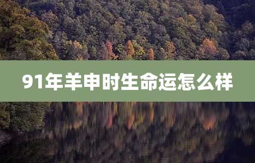 91年羊申时生命运怎么样