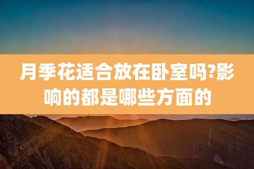 月季花适合放在卧室吗?影响的都是哪些方面的