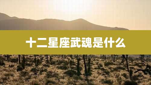 十二星座武魂是什么