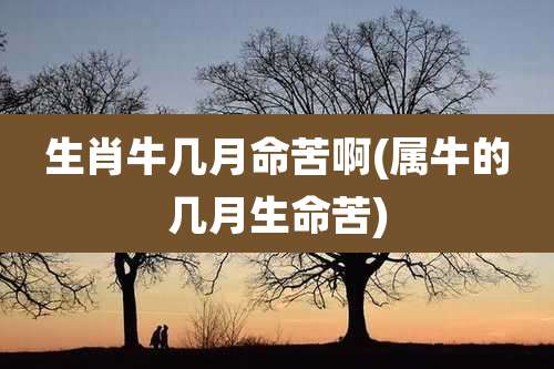 生肖牛几月命苦啊(属牛的几月生命苦)