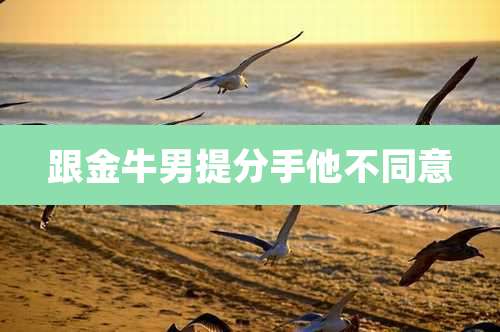 跟金牛男提分手他不同意