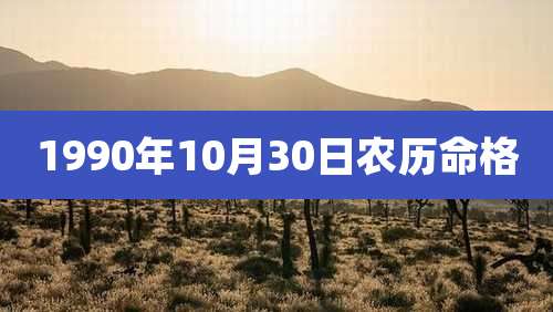 1990年10月30日农历命格