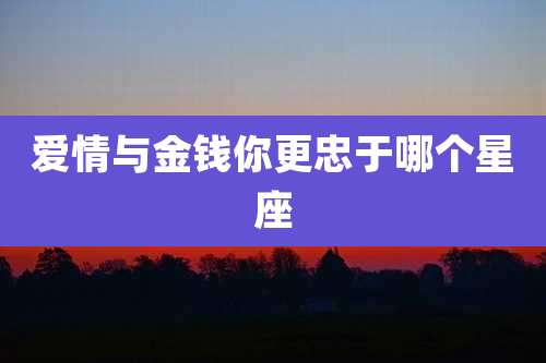 爱情与金钱你更忠于哪个星座