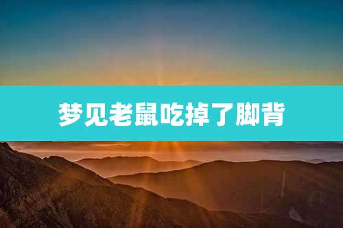 梦见老鼠吃掉了脚背