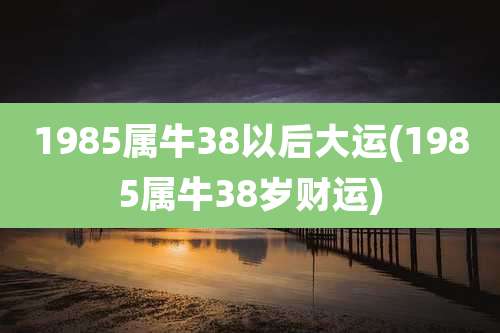 1985属牛38以后大运(1985属牛38岁财运)