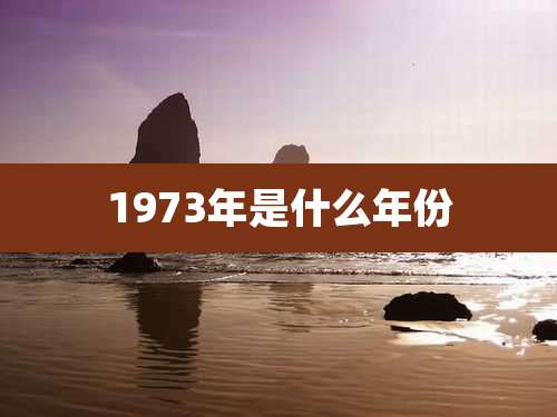 1973年是什么年份