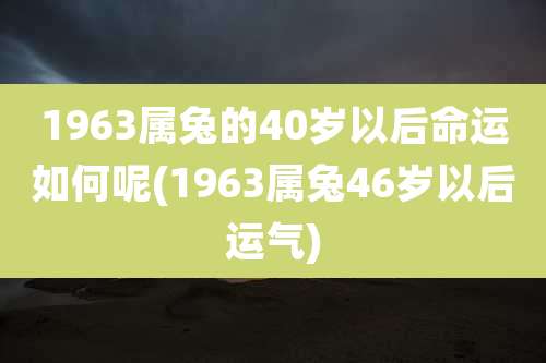 1963属兔的40岁以后命运如何呢(1963属兔46岁以后运气)
